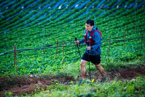 BIB: 
                            <button type="button" onclick="openModal(19160075)" class="btn btn-primary btn-sm float-right btn-popup" data-toggle="modal" data-target=".modal-high-quality">
                        <i class="fas fa-shopping-cart"></i> Add to Cart
                    </button>
                                            <button type="button" onclick="isThisMe(19160075, true)" class="btn btn-success btn-sm float-right btn-popup btn-isme hidden" data-toggle="tooltip" data-placement="bottom" title="นี่คือรูปของคุณใช่ไหม คลิกที่นี่เพื่อเอาเข้าอัลบั้ม">
                        <i class="fas fa-plus"></i> Add to album
                    </button>
                    <button type="button" onclick="isThisMe(19160075, false)" class="btn btn-warning btn-sm float-right btn-popup btn-isnotme hidden">
                        <i class="fas fa-ban"></i> Remove from album
                    </button>